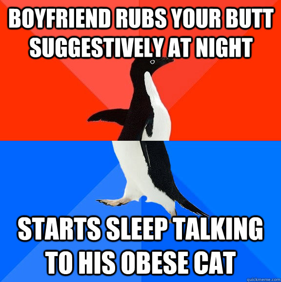 Boyfriend rubs your butt suggestively at night starts sleep talking to his obese cat   Socially Awesome Awkward Penguin