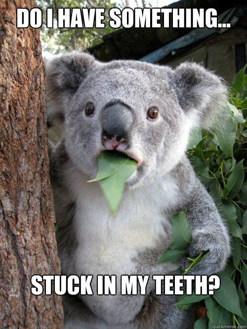 Do I have something... Stuck in my teeth?  koala bear