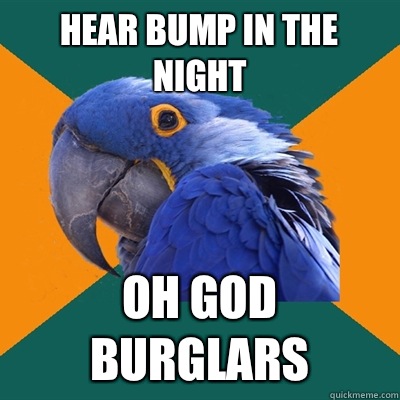 Hear bump in the night Oh god burglars  Paranoid Parrot