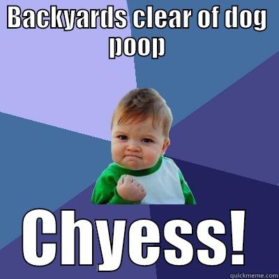 BACKYARDS CLEAR OF DOG POOP CHYESS! Success Kid