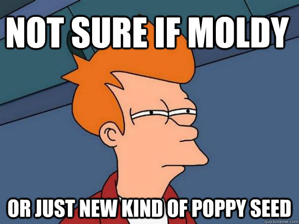 Not sure if moldy or just new kind of poppy seed - Not sure if moldy or just new kind of poppy seed  Futurama Fry