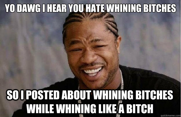 Yo dawg I hear you hate whining bitches So I posted about whining bitches while whining like a bitch  Xzibit Yo Dawg