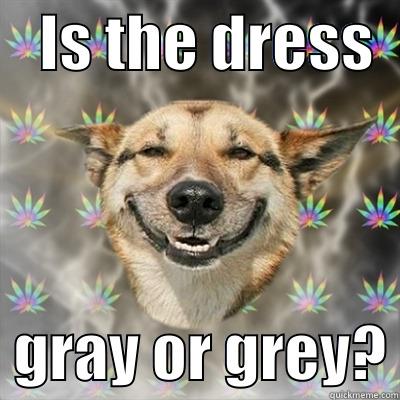    IS THE DRESS     GRAY OR GREY? Stoner Dog