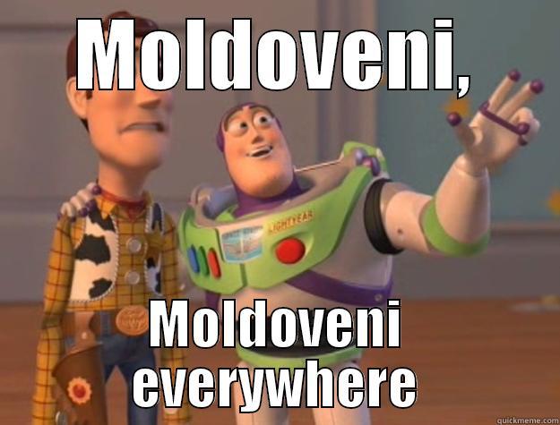 MOLDOVENI, MOLDOVENI EVERYWHERE Toy Story