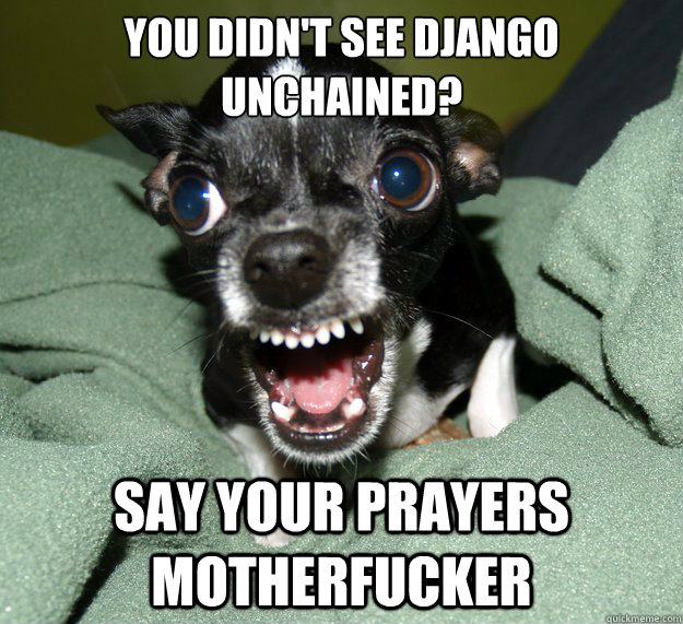 You didn't see django unchained? say your prayers motherfucker  Chihuahua Logic