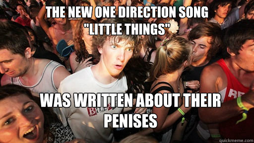 THE NEW ONE DIRECTION SONG 
