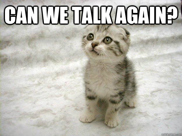 Can we talk again?  - Can we talk again?   Begging kitty