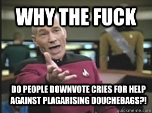 Why the fuck Do people downvote cries for help against plagarising douchebags?!  Annoyed Picard