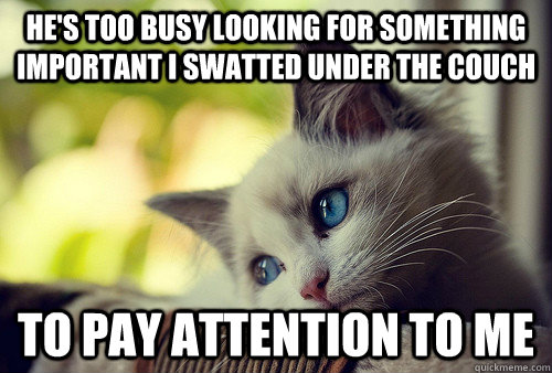 He's too busy looking for something important I swatted under the couch to pay attention to me  First World Problems Cat