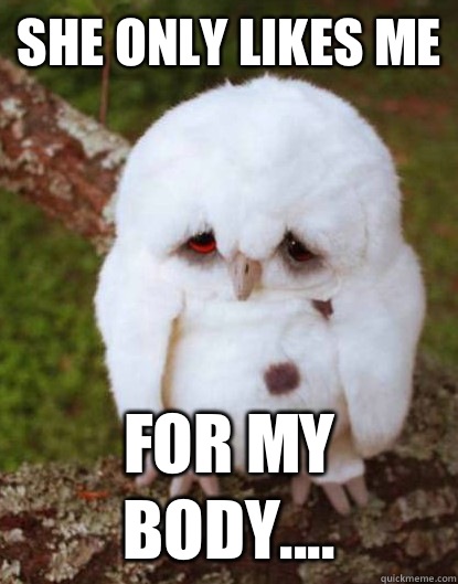 She only likes me for my body....  Depressed Owl