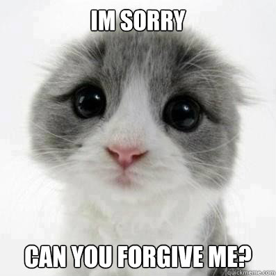 IM SORRY CAN YOU FORGIVE ME? - IM SORRY CAN YOU FORGIVE ME?  Cute Cat