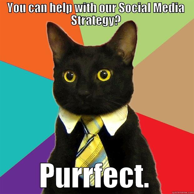 YOU CAN HELP WITH OUR SOCIAL MEDIA STRATEGY? PURRFECT. Business Cat