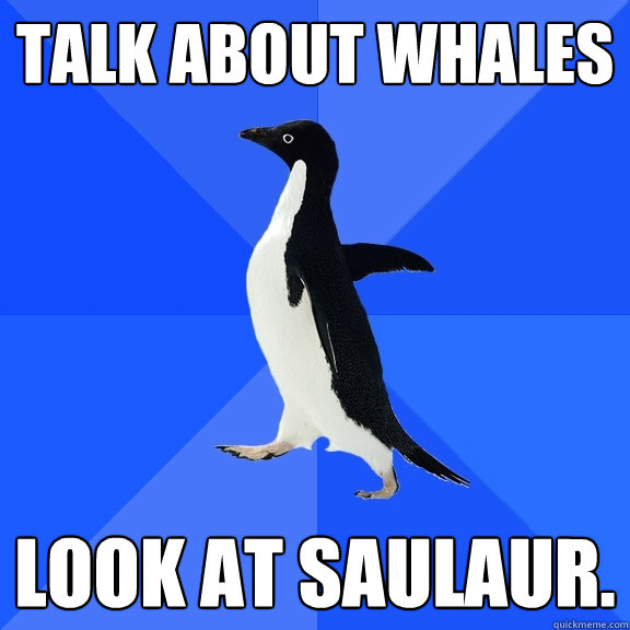 Talk about whales LOOK AT SAULAUR.  Socially Awkward Penguin