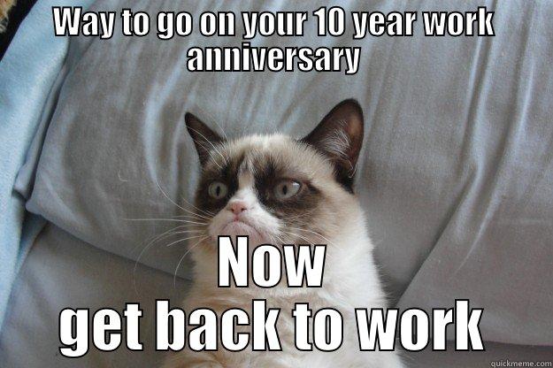 WAY TO GO ON YOUR 10 YEAR WORK ANNIVERSARY NOW GET BACK TO WORK Grumpy Cat