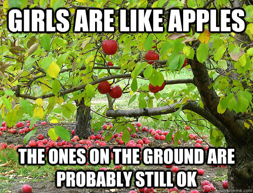 Girls are like apples The ones on the ground are probably still ok - Girls are like apples The ones on the ground are probably still ok  Girls are like apples