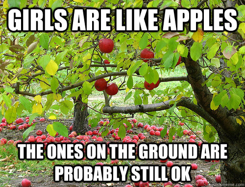 Girls are like apples The ones on the ground are probably still ok  