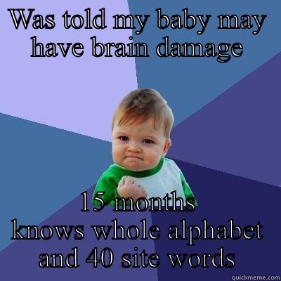 WAS TOLD MY BABY MAY HAVE BRAIN DAMAGE 15 MONTHS KNOWS WHOLE ALPHABET AND 40 SITE WORDS Success Kid