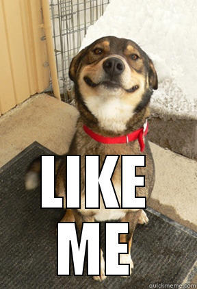  LIKE ME Good Dog Greg
