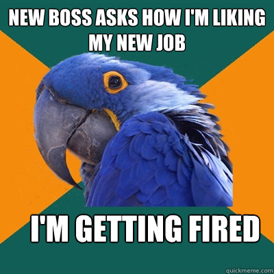 New boss asks how I'm liking my new job I'm getting fired  Paranoid Parrot