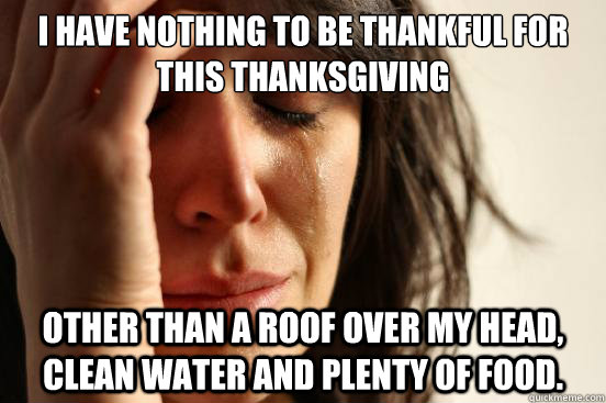 I have nothing to be thankful for this thanksgiving other than a roof over my head, clean water and plenty of food. - I have nothing to be thankful for this thanksgiving other than a roof over my head, clean water and plenty of food.  First World Problems