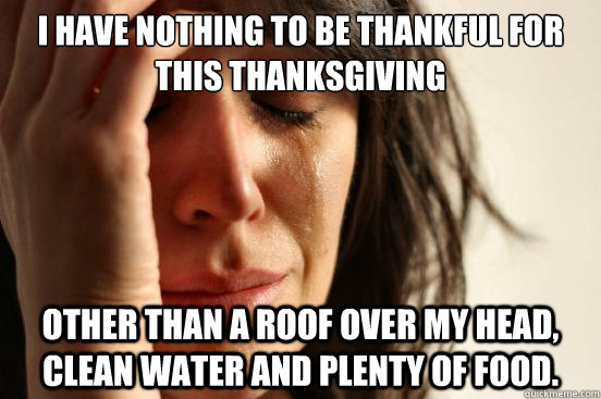 I have nothing to be thankful for this thanksgiving other than a roof over my head, clean water and plenty of food.  First World Problems