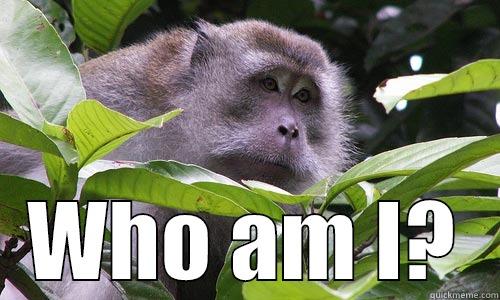 Concerned Monkey -  WHO AM I? Misc