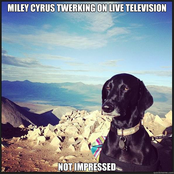 Miley Cyrus twerking on live television not impressed  