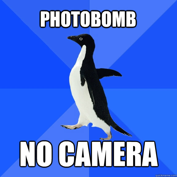 Photobomb no camera  Socially Awkward Penguin
