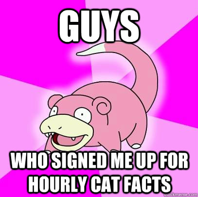 guys who signed me up for hourly cat facts  Slowpoke