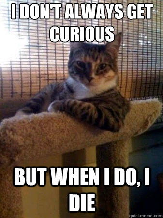 i don't always get curious but when i do, i die  The Most Interesting Cat in the World
