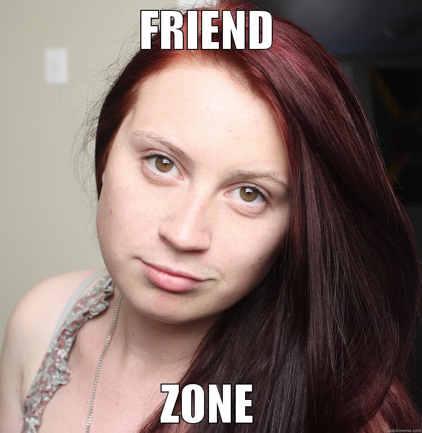 FRIEND ZONE Socially Awkward Penguin