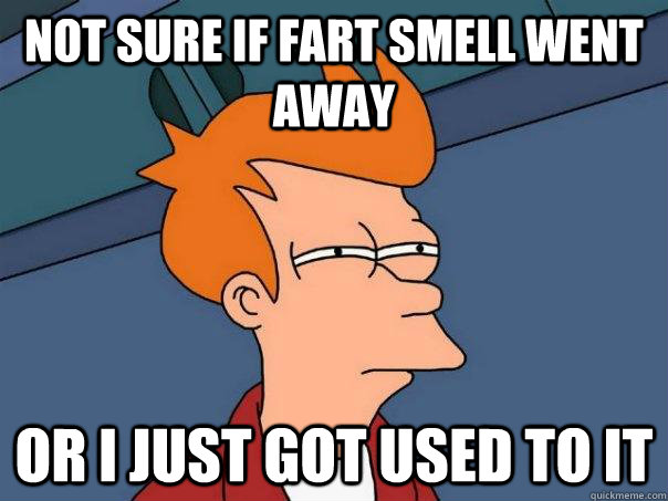 Not sure if fart smell went away Or I just got used to it - Not sure if fart smell went away Or I just got used to it  Futurama Fry