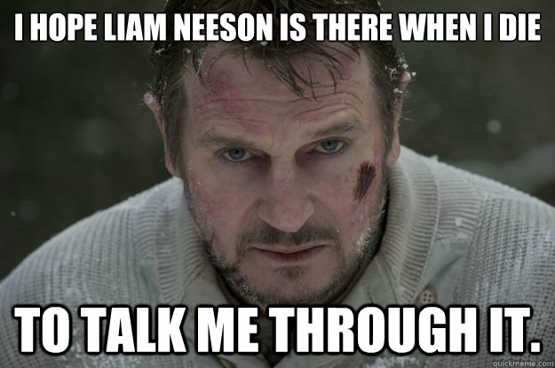 I hope Liam Neeson is there when I die to talk me through it. - I hope Liam Neeson is there when I die to talk me through it.  Liam Neeson Wolf Puncher
