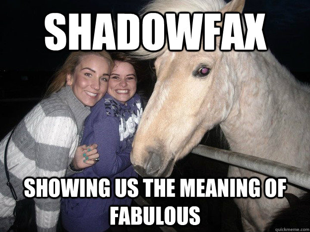 shadowfax showing us the meaning of fabulous  Ridiculously Photogenic Horse