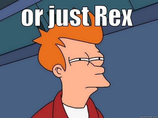 OR JUST REX  Futurama Fry