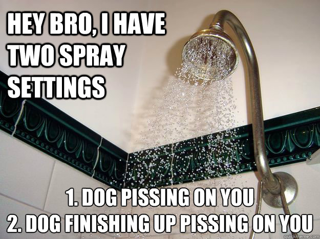 hey bro, i have two spray settings 1. dog pissing on you
2. dog finishing up pissing on you  scumbag shower