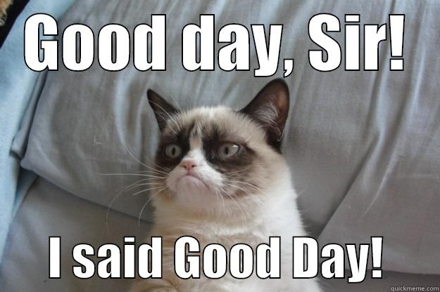 Good day Sir! - GOOD DAY, SIR!       I SAID GOOD DAY!      Grumpy Cat