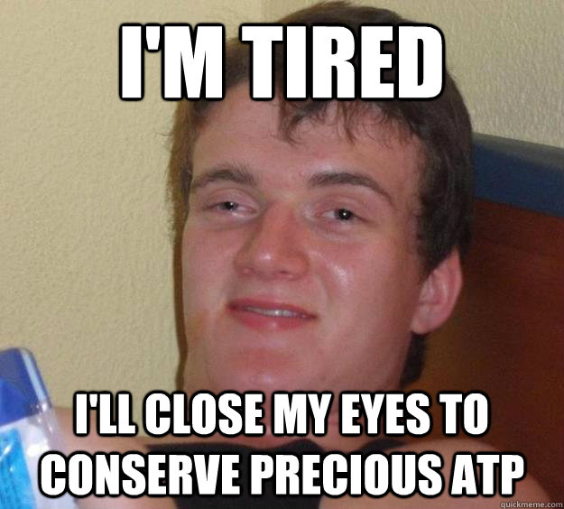 I'm tired I'll close my eyes to conserve precious ATP - I'm tired I'll close my eyes to conserve precious ATP  10 Guy