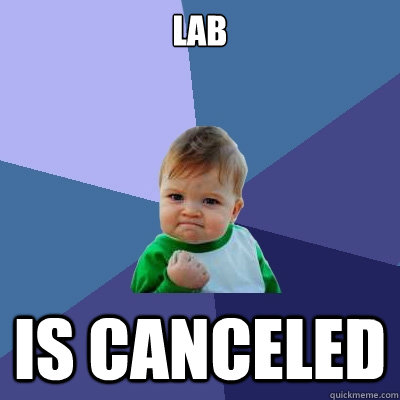 lab is canceled   Success Kid