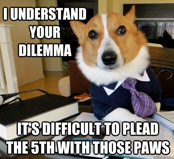 I understand your dilemma it's difficult to plead the 5th with those paws  Lawyer Dog