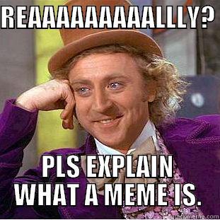 REAAAAAAAAALLLY?  PLS EXPLAIN WHAT A MEME IS. Condescending Wonka