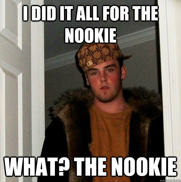 I did it all for the nookie what? the nookie  Scumbag Steve