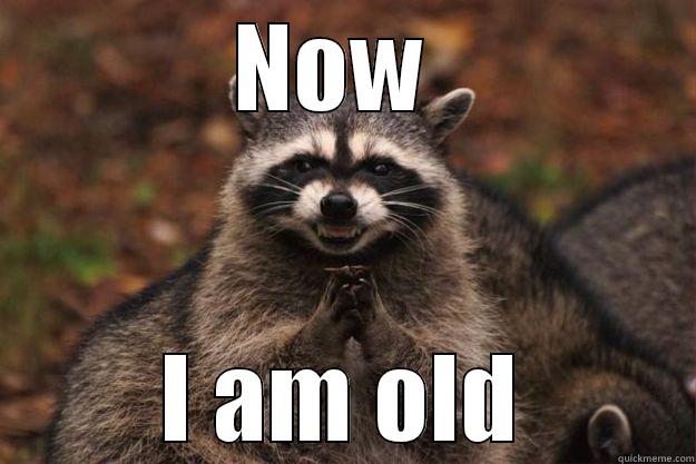 Now I am old. - NOW  I AM OLD Evil Plotting Raccoon