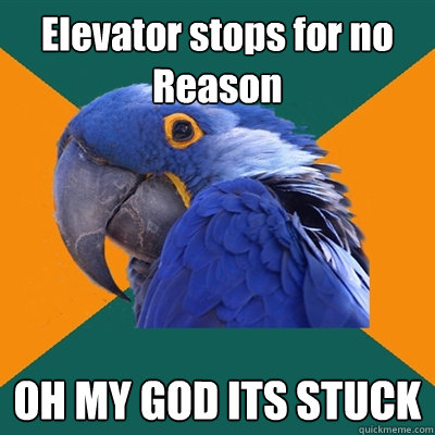 Elevator stops for no Reason OH MY GOD IT´S STUCK  Paranoid Parrot