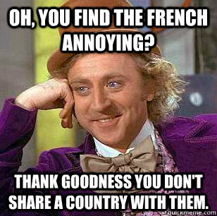 Oh, you find the french annoying? Thank goodness you don't share a country with them. - Oh, you find the french annoying? Thank goodness you don't share a country with them.  condensending wonka