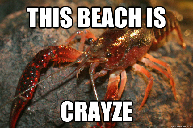 This beach is crayze - This beach is crayze  Misc