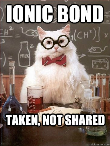 IONIC BOND TAKEN, NOT SHARED  Chemistry Cat