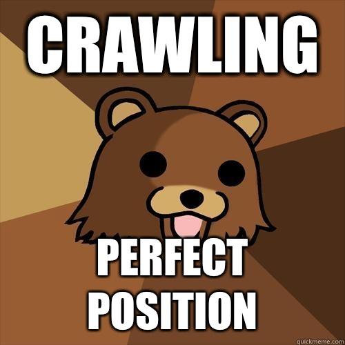 Crawling Perfect position  Pedobear