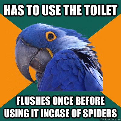 Has to use the toilet flushes once before using it incase of spiders   Paranoid Parrot