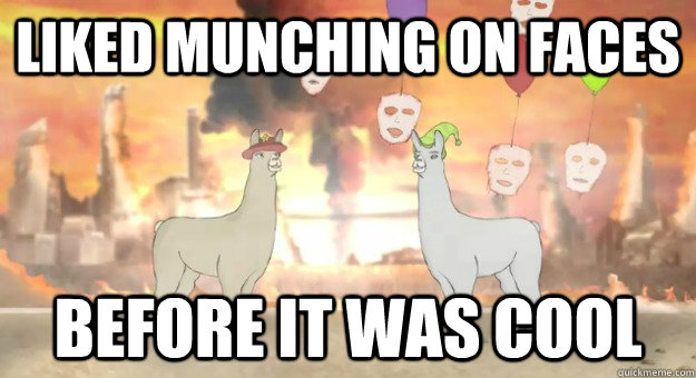 LIKED MUNCHING ON FACES BEFORE IT WAS COOL  Llamas with Hats Faces